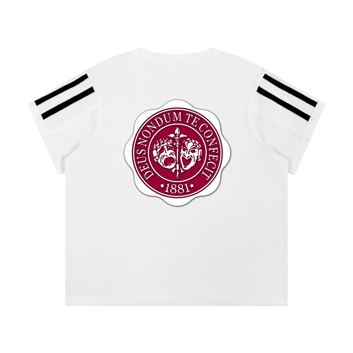 "Hillman College" Women's Varsity Stripe T-Shirt