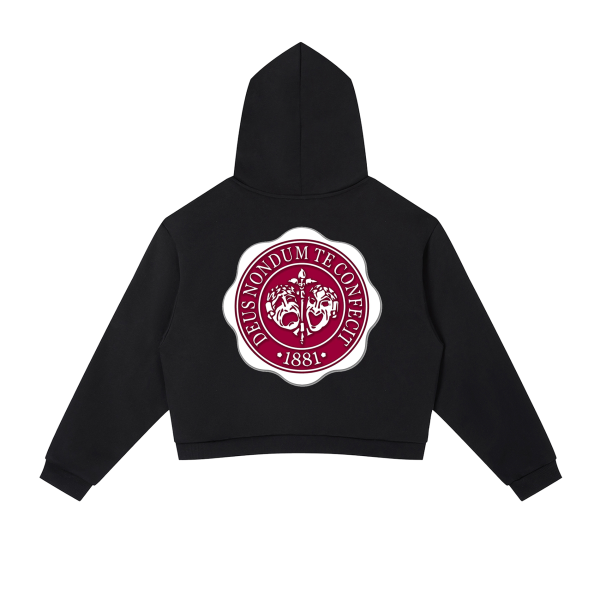 "Hillman College" Contrast Side Stripe Cropped Hoodie
