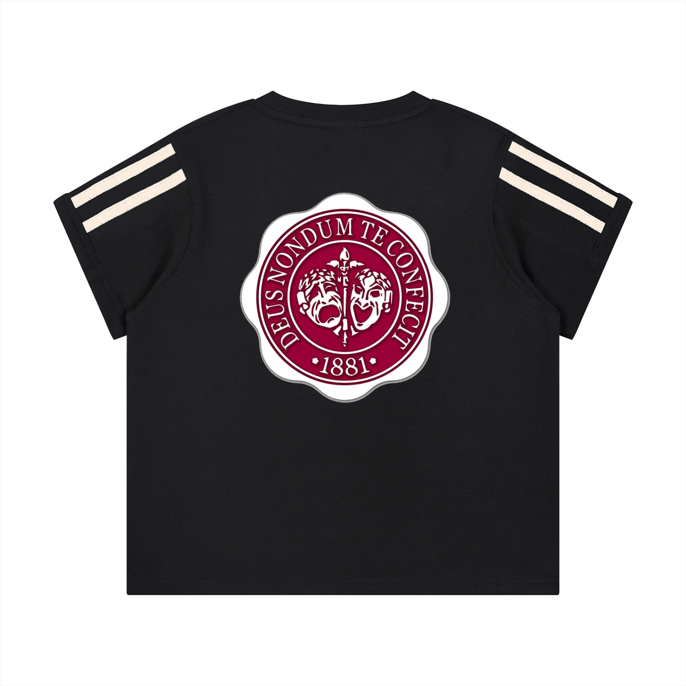 "Hillman College" Women's Varsity Stripe T-Shirt