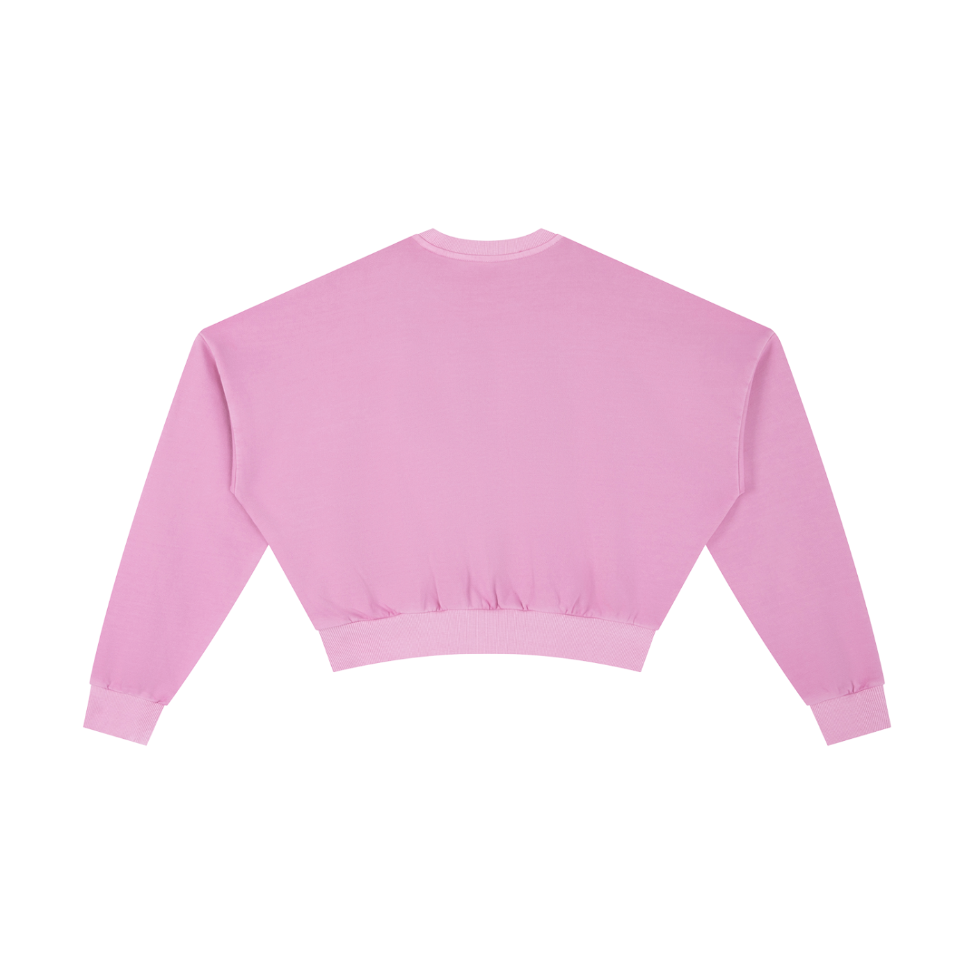 "Hillman College" Vintage Washed Cropped Sweatshirt