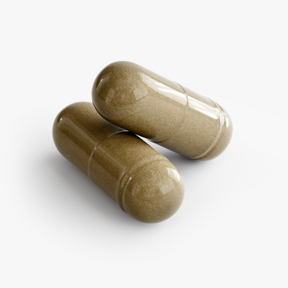 A4H™ Ginkgo Biloba + Ginseng