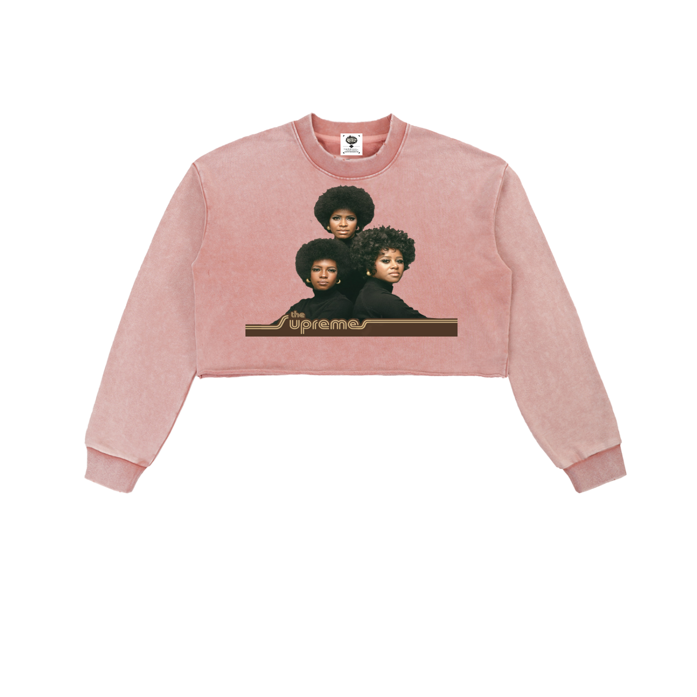 "The Supreme's" Snow Washed Raw Edge Cropped Sweatshirt