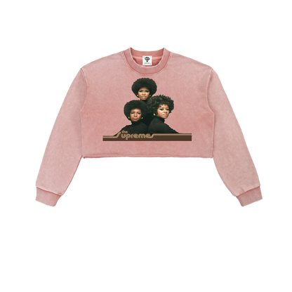 "The Supreme's" Snow Washed Raw Edge Cropped Sweatshirt