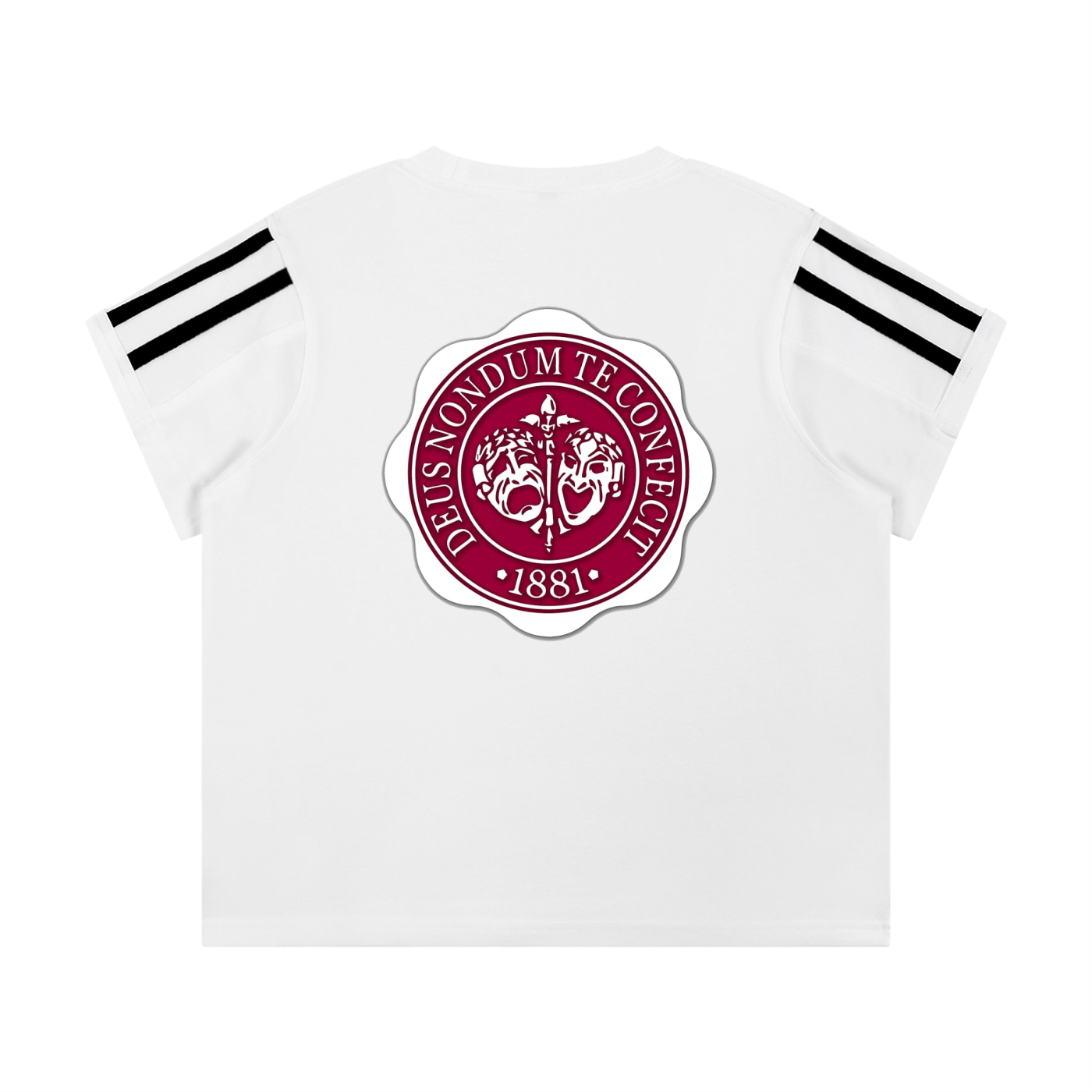 "Hillman College" Women's Varsity Stripe T-Shirt
