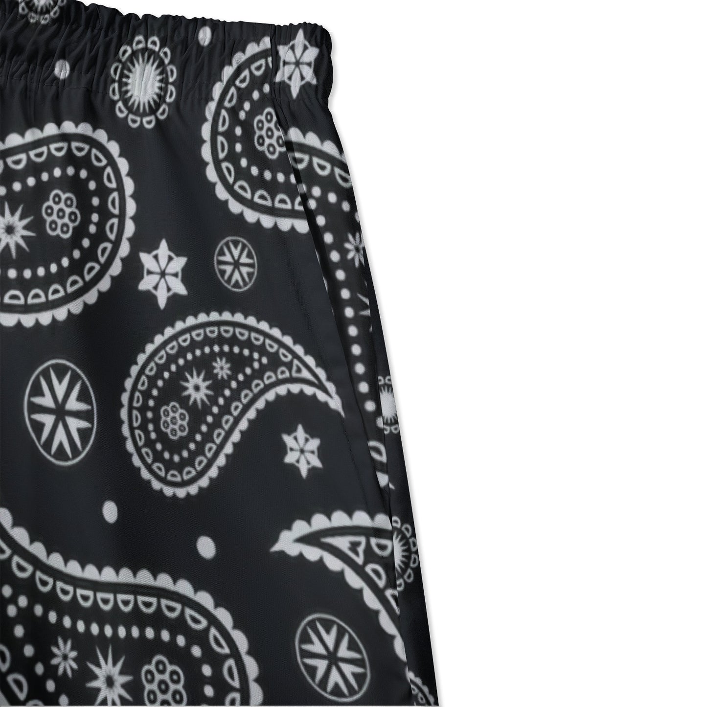 "Long Beach" Baggy Long Shorts