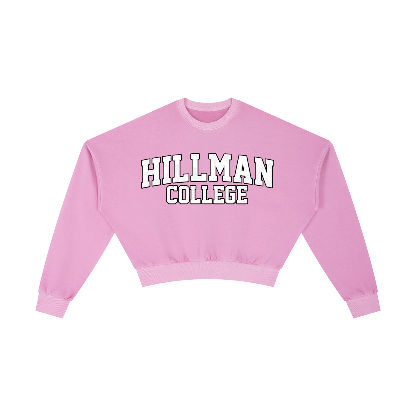 "Hillman College" Vintage Washed Cropped Sweatshirt