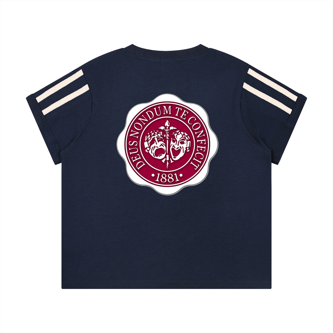 "Hillman College" Women's Varsity Stripe T-Shirt