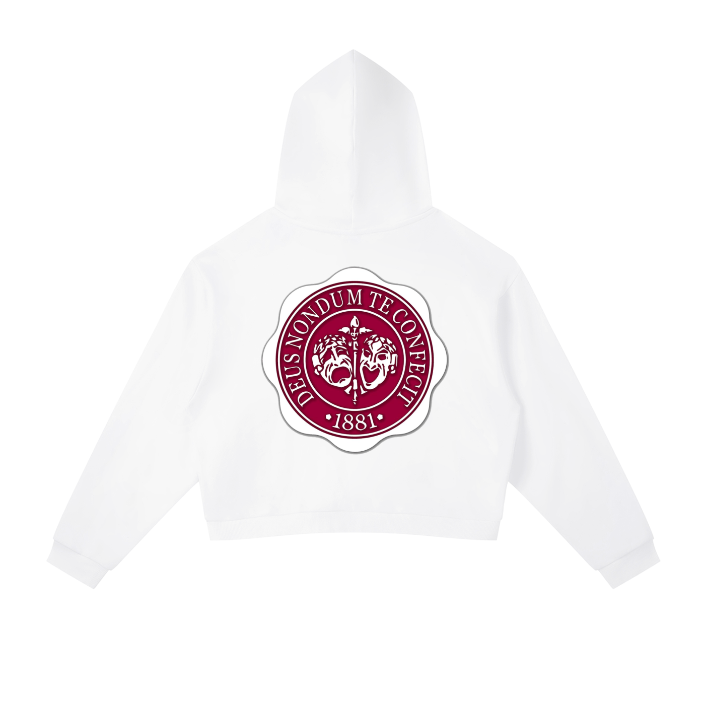 "Hillman College" Contrast Side Stripe Cropped Hoodie