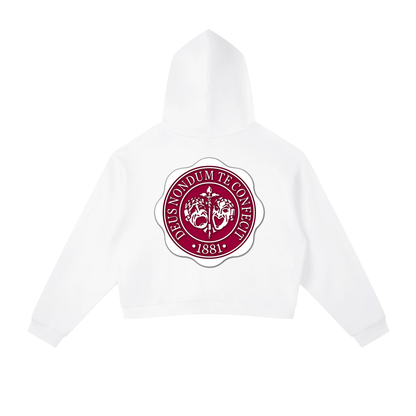 "Hillman College" Contrast Side Stripe Cropped Hoodie