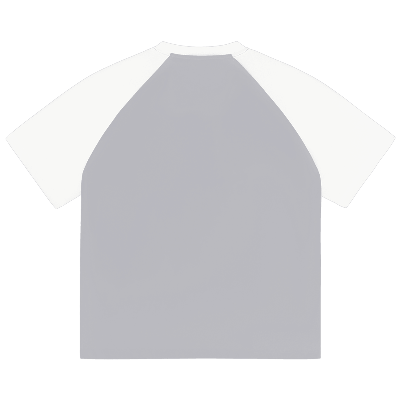 "Dunk the Angry Pigeon" Raglan Sleeve T-Shirt