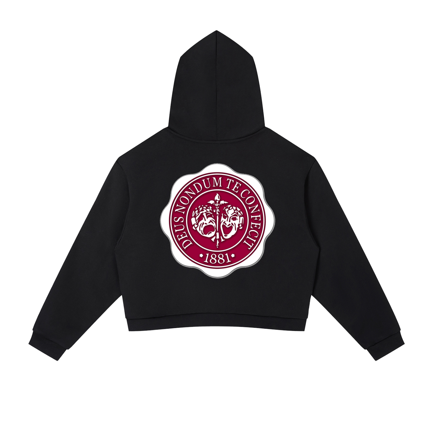 "Hillman College" Contrast Side Stripe Cropped Hoodie