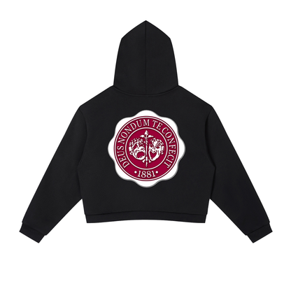 "Hillman College" Contrast Side Stripe Cropped Hoodie