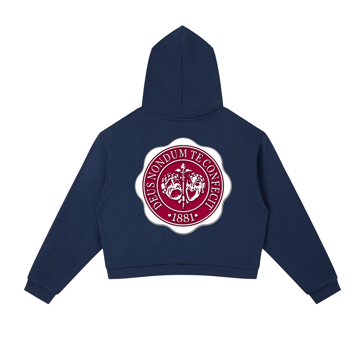 "Hillman College" Contrast Side Stripe Cropped Hoodie